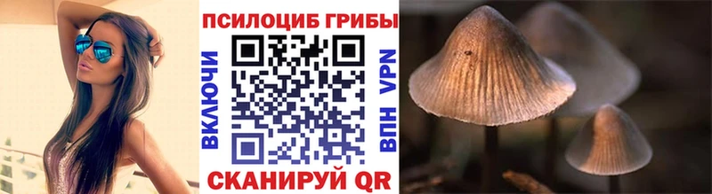 наркотики  Любим  Псилоцибиновые грибы мицелий 